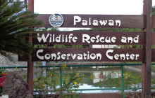 World World Holiday Travel and Tours - Palawan Philippines4