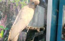 World World Holiday Travel and Tours - Palawan Philippines2