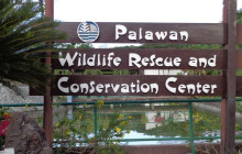 World World Holiday Travel and Tours - Palawan Philippines11