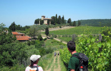 8 Day Tuscany Walks & Chianti Wines
