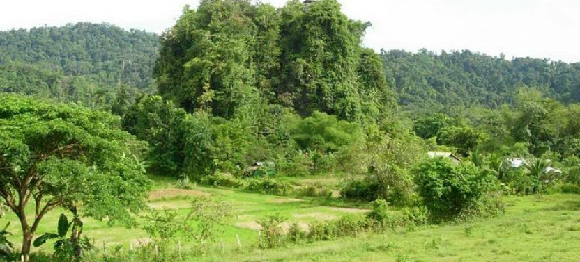 Ugong Rock Caving & Zipline with Underground River in Puerto Princesa