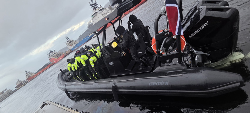Mostraumen Fjord Safari - By Premium Rib Boat