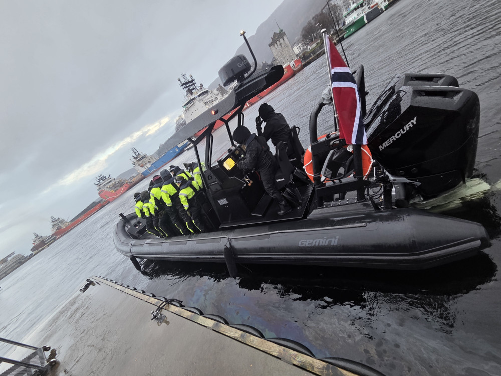 Mostraumen Fjord Safari - By Premium Rib Boat