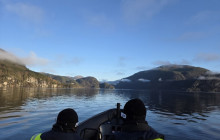 Guided Fjord Tours AS8