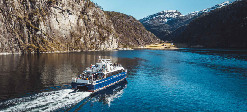 Bergen Guided Tour: Mostraumen Fjord Cruise, City Walk & Mt Flöyen