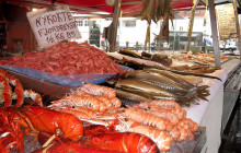 Guided Fjord Tours AS10