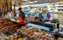 Guided Fjord Tours AS24