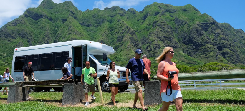 Hidden Gems of Oahu with Byodo In Temple & Turtle Spotting