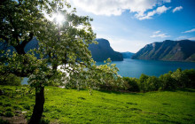 Guided Fjord Tours AS10
