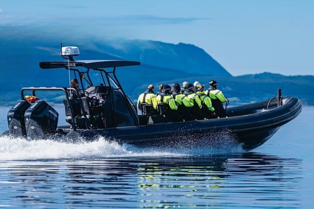 Alverstraumen Rib Safari