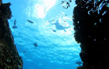 Dreams Catamaran Barbados5