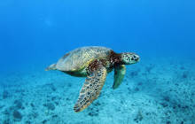 Malama Tours5
