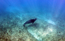 Malama Tours2