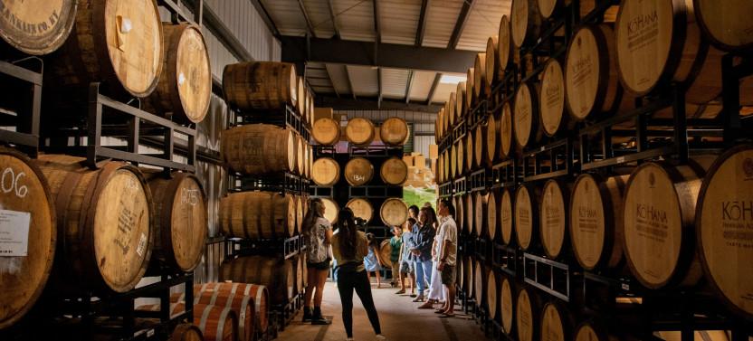 Afternoon Dole Plantation & Rum Tasting Tour