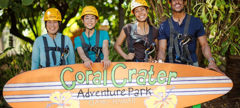 Afternoon Dole Plantation, Rum Tasting & Zipline Adventure on Oahu