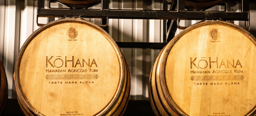 Dole Plantation, Rum Distillery & Mauka Warriors Luau
