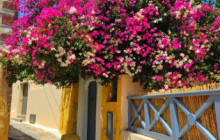 I AM SANTORINI DAY TOURS21