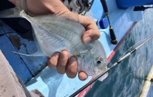 Bali Yowana Tour10