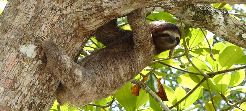 14 Day Excursion - Discover Costa Rica