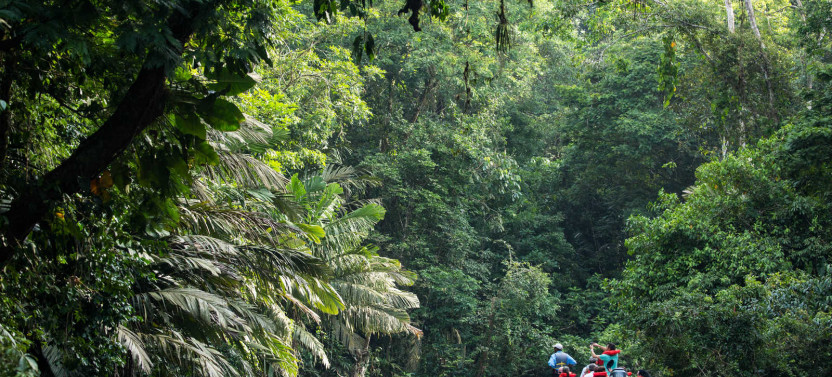 14 Day Excursion - Discover Costa Rica