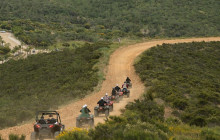 Las Cañadas Campamento6