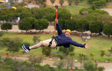 Las Cañadas Campamento8