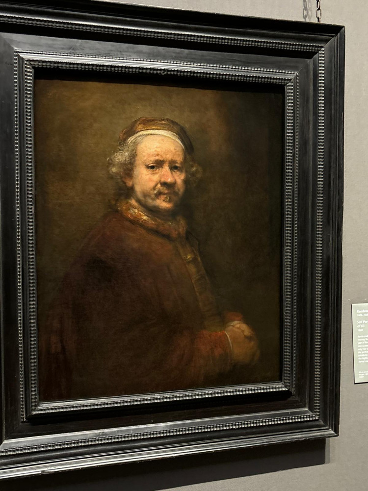 Private Art Historian Tour with Priority Access: Rijksmuseum & Van Gogh