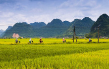 14 Day Cycling Tour of Vietnam