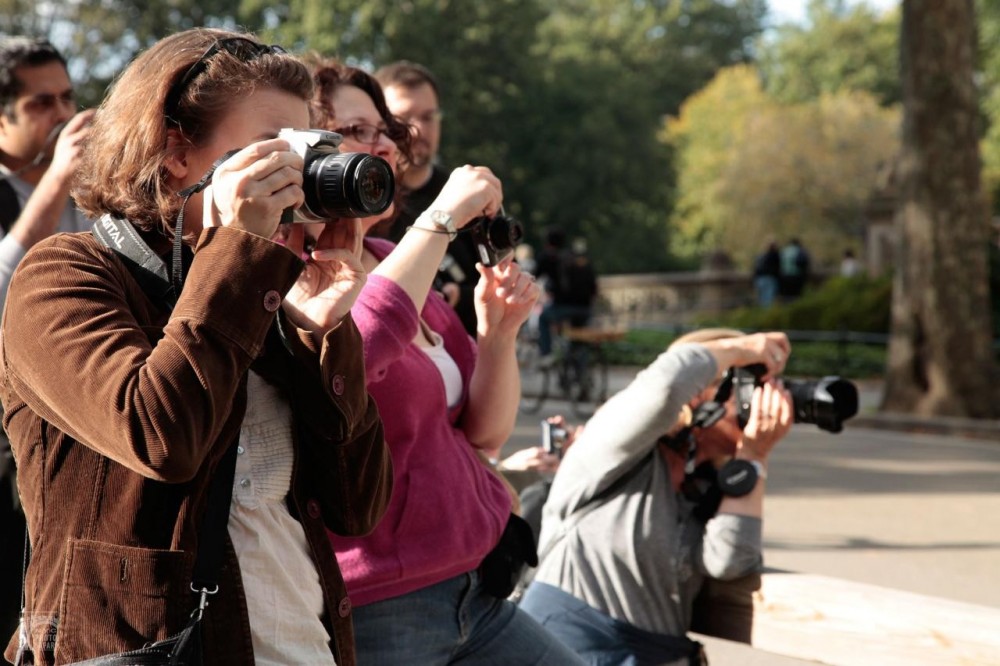 Small Group Central Park Photo Safari