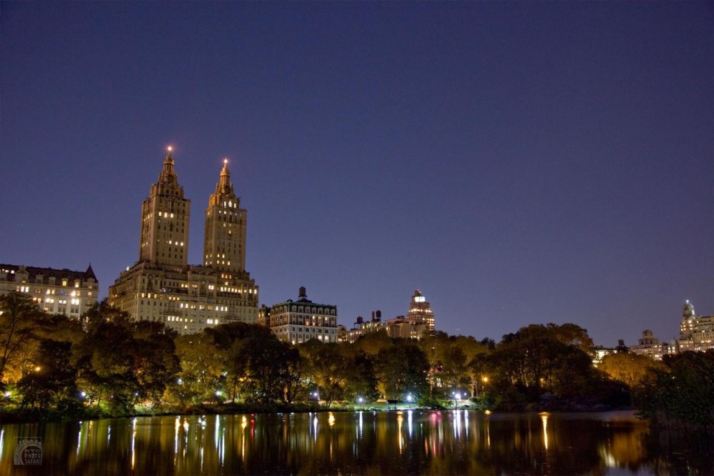 Small Group Central Park Photo Safari @ Night - New York City | Project ...