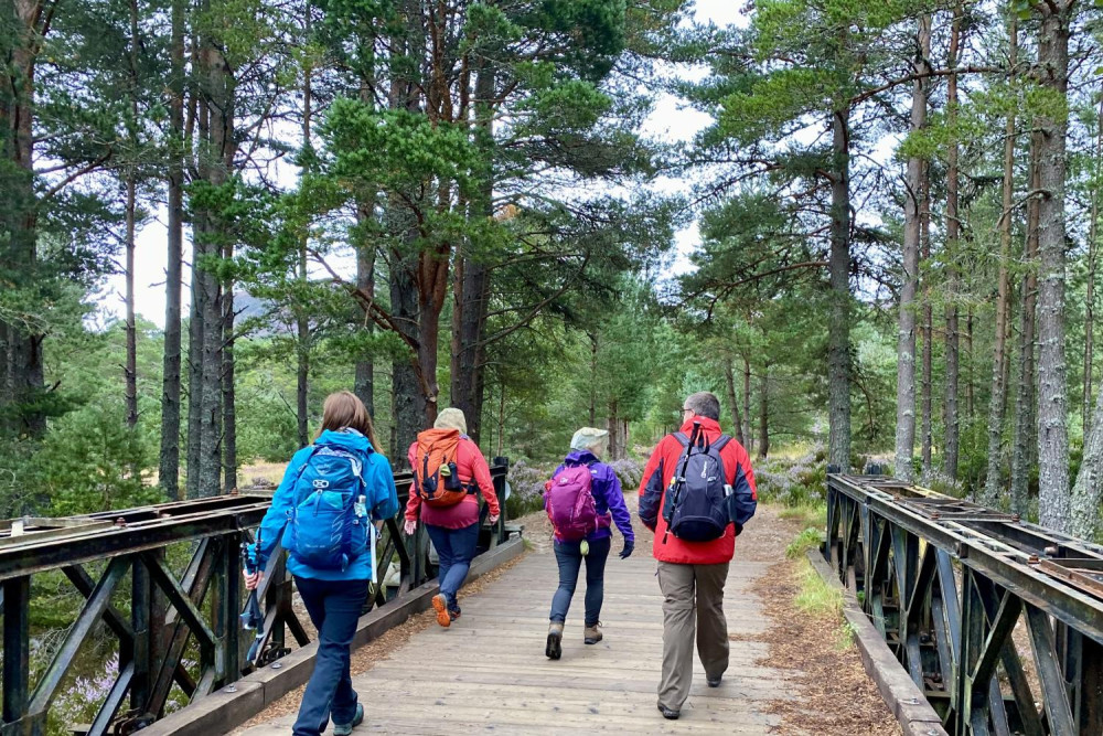 From Inverness: Scottish Highlands Walking Tour with Guide