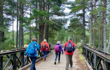 Rabbie's - Single Day - GBP1