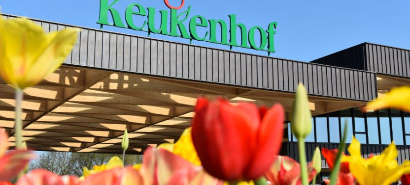 Keukenhof and Zaanse Schans Guided Tour
