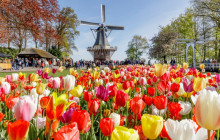 Tour Company NL5