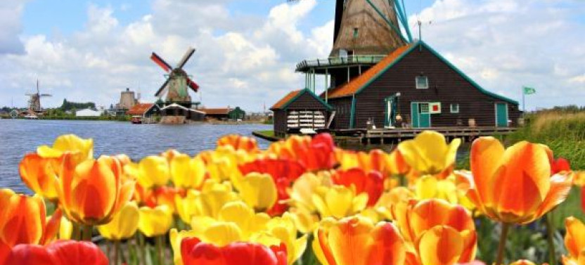 Keukenhof and Zaanse Schans Guided Tour