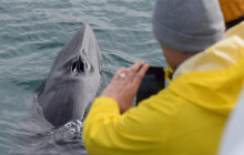 Friends of Moby Dick2