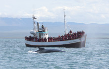 Friends of Moby Dick7