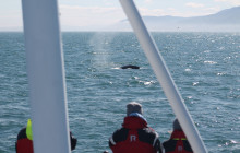 Friends of Moby Dick10