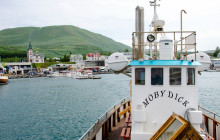 Friends of Moby Dick17