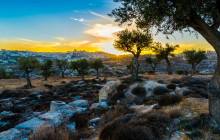 Bein Harim Tourism Services14