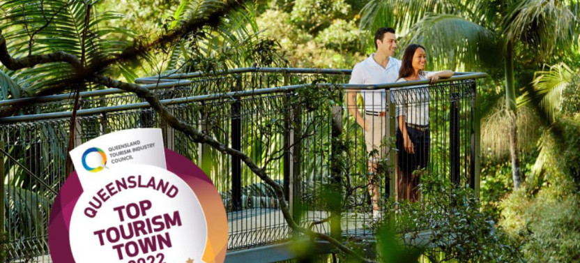 Tamborine Mountain Hop On Hop Off + Glow Worms & Rainforest Skywalk