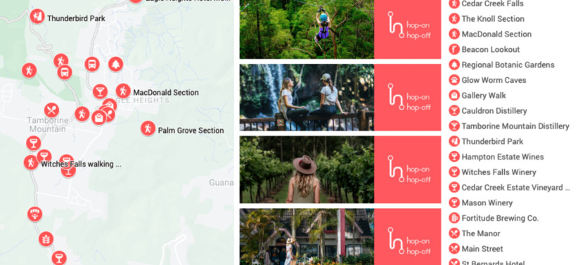 Tamborine Mountain Hop On Hop Off + Glow Worms & Rainforest Skywalk