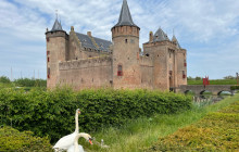 Private Day Tours Amsterdam4