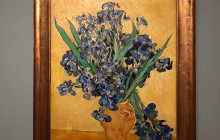 Private Day Tours Amsterdam12