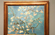 Private Day Tours Amsterdam14