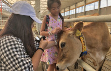 Private Day Tours Amsterdam5