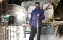 Private Day Tours Amsterdam9