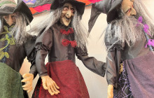 Private Day Tours Amsterdam12