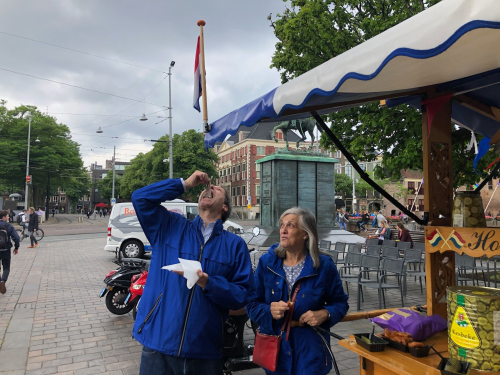 Private Holland Four City Charm Tour