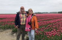 Private Day Tours Amsterdam5